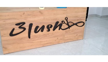 blush logo 2